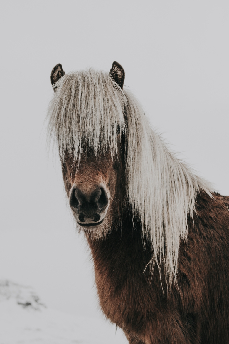 Iceland2