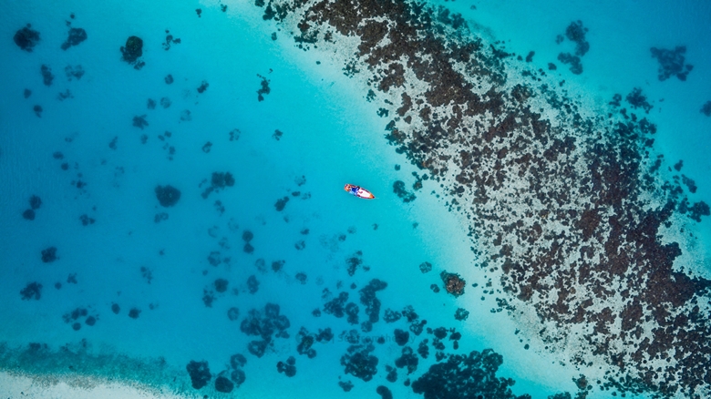 ishan-seefromthesky-118581