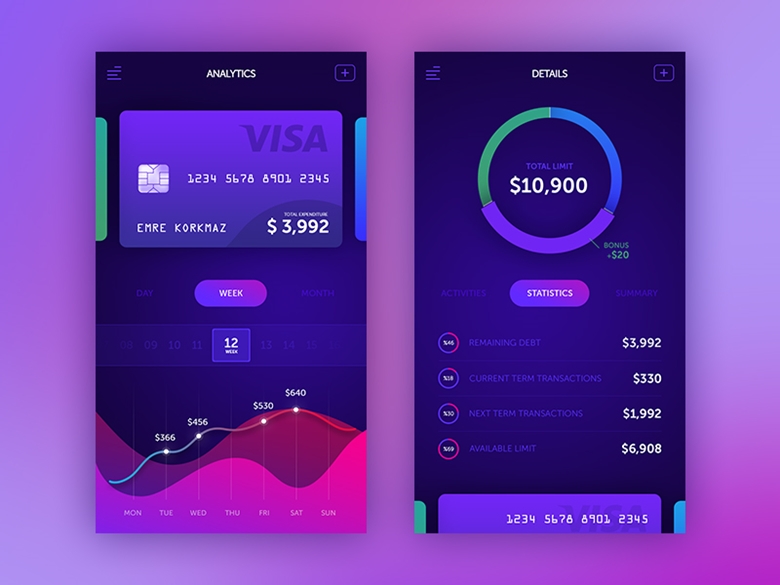 credit-card-analytics-large