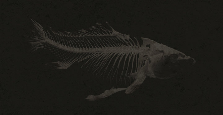 MR Grieves2